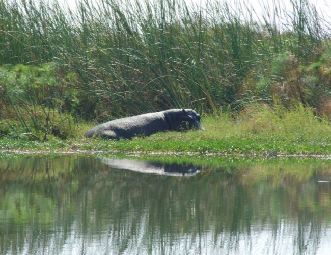Lochinvar National Park